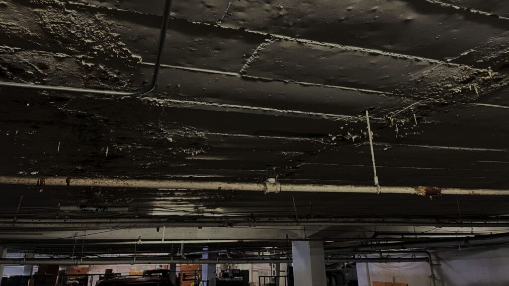 COMMON WATERPROOFING