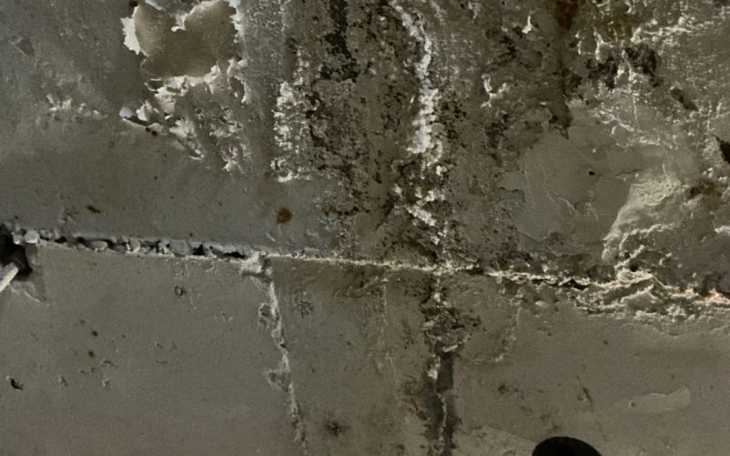 Water Intrusion and Waterproofing Failure​